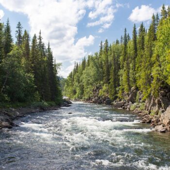Live from Northern Alberta with the Freshwater Live! Team
