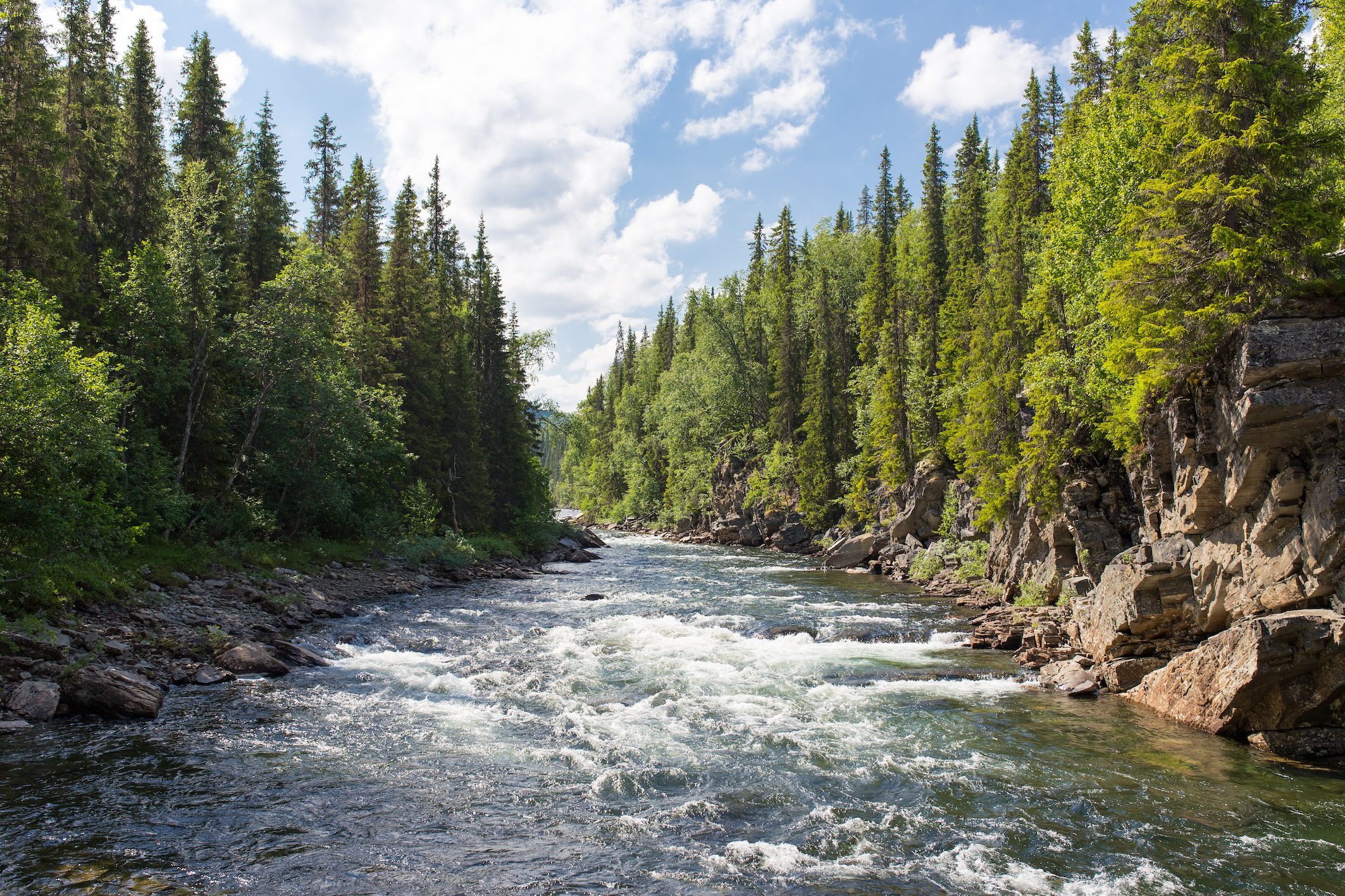 Live from Northern Alberta with the Freshwater Live! Team