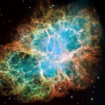 The Life and Death of Stars with Dr. Parshati Patel