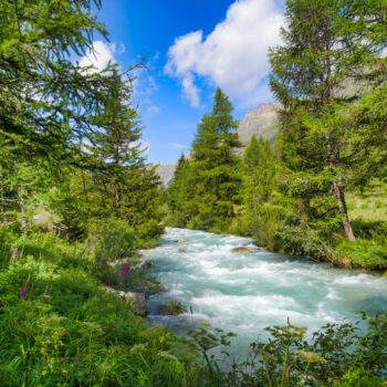 Why (and how!) Do We Measure Water Levels and Flows In Our Rivers and Lakes Across Canada