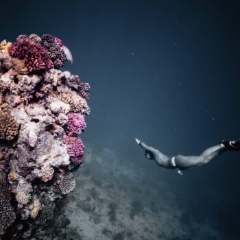 Diving to Greater Depths with Simona Auteri