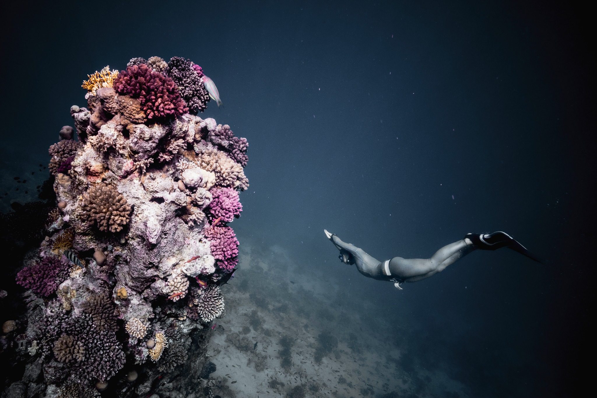 Diving to Greater Depths with Simona Auteri