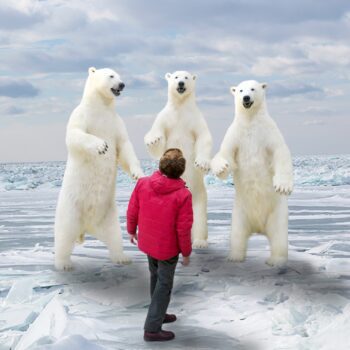 From Bears to Beats: Musical Storytelling in the Frozen North with Dr. James Raffan