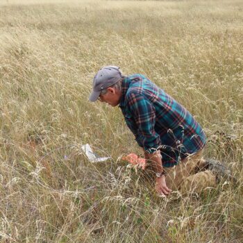 Grassland Birds with John Wilmshurst