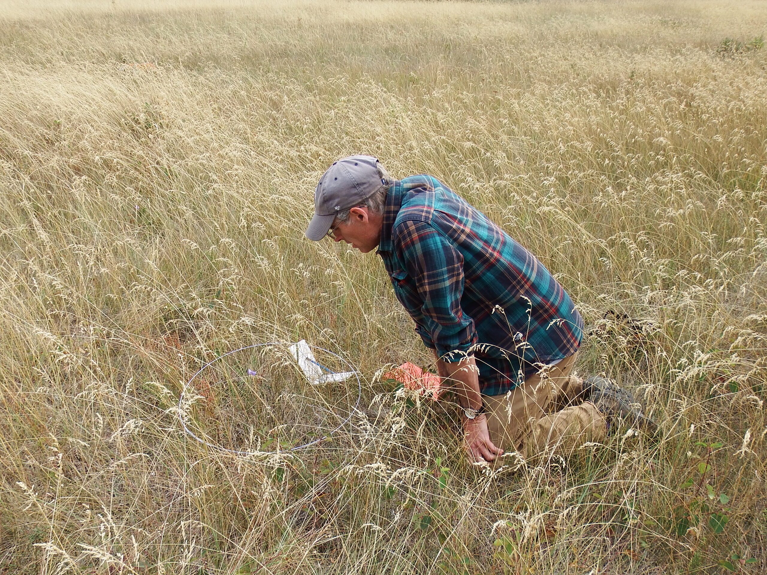 Grassland Birds with John Wilmshurst