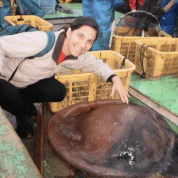 Spineless: Exploring the Wonderful World of Jellyfish with Juli Berwald
