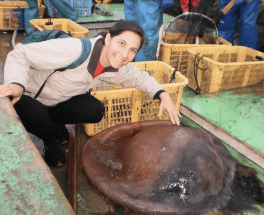 Spineless: Exploring the Wonderful World of Jellyfish with Juli Berwald