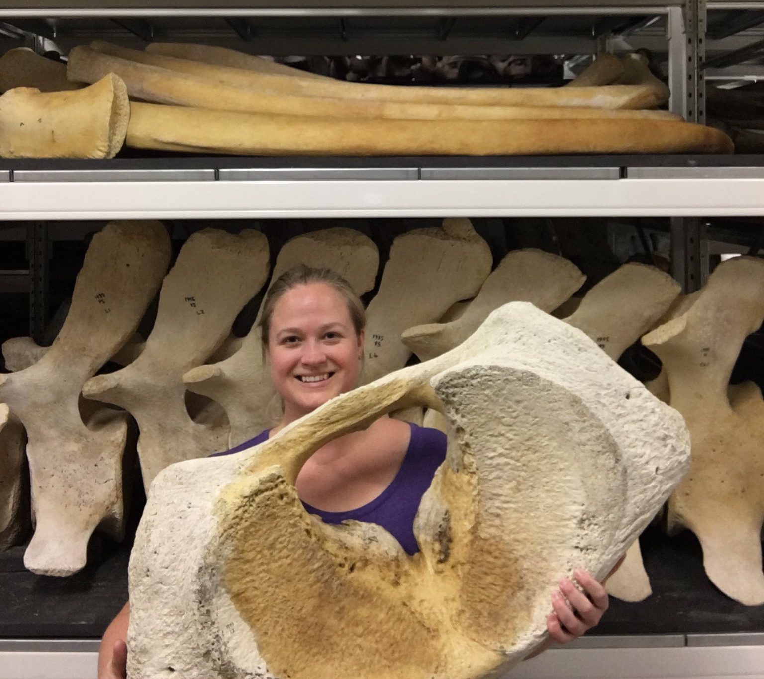 Mysteries of the Rarest Whales on Earth with Dr. Kerri Smith