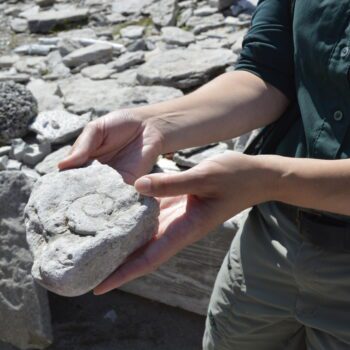 Fantastic Fossils
