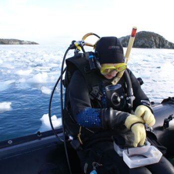 Diving into the Forests of Our Oceans with Sabrina Heiser