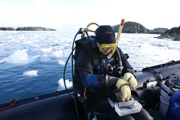 Diving into the Forests of Our Oceans with Sabrina Heiser