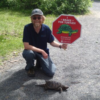 Freshwater Turtles with David Seburn