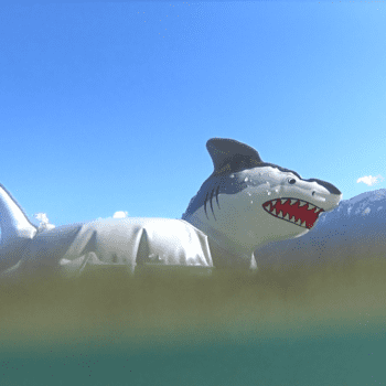 Sharks in the Park