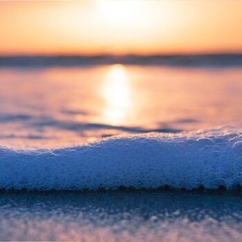 Ways of Water and Water Stewardship with Ocean Wise