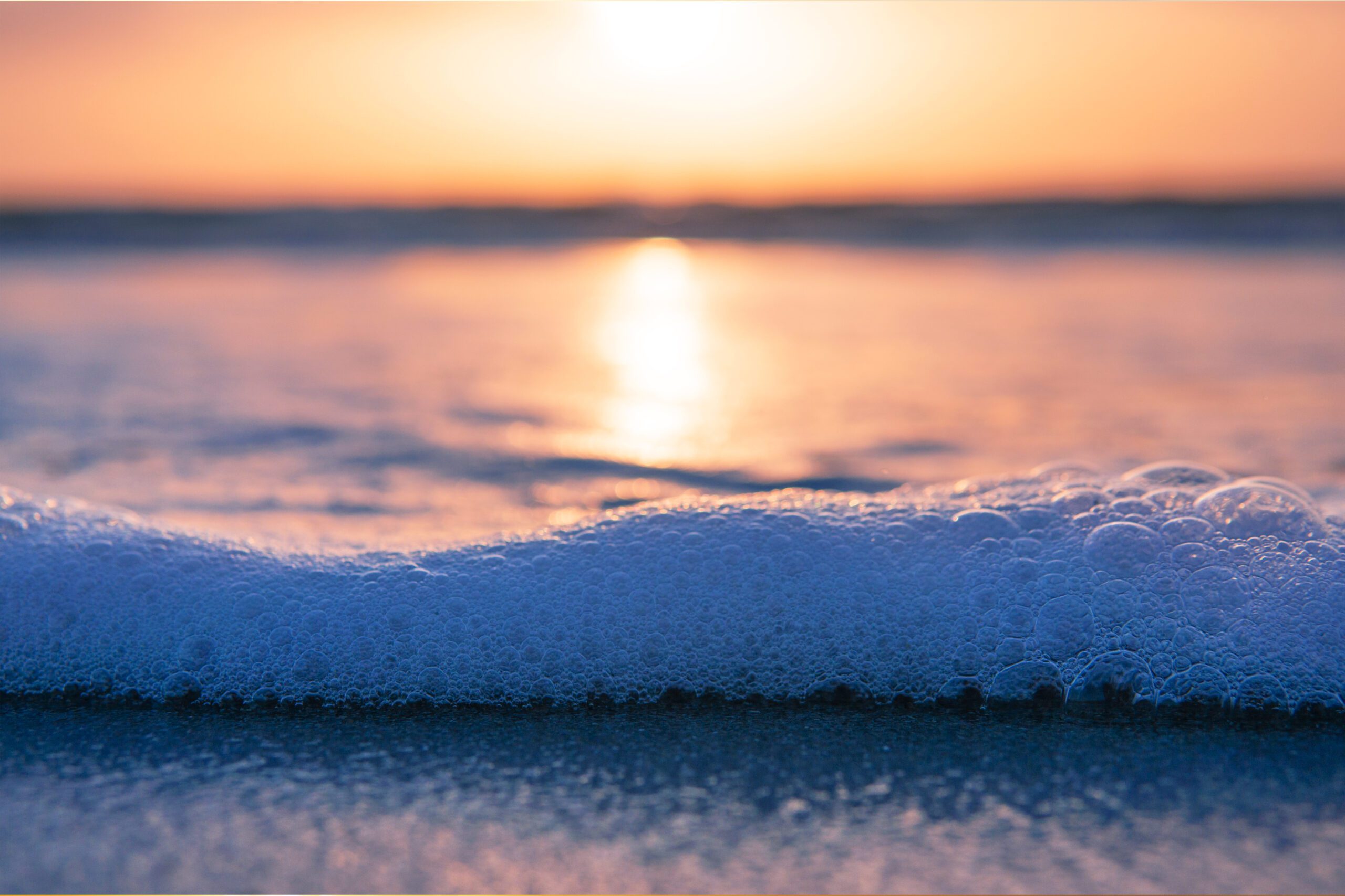 Ways of Water and Water Stewardship with Ocean Wise