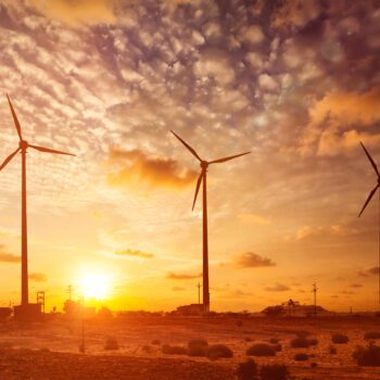 Clean Energy and Climate Action with Larkin Mosscrop