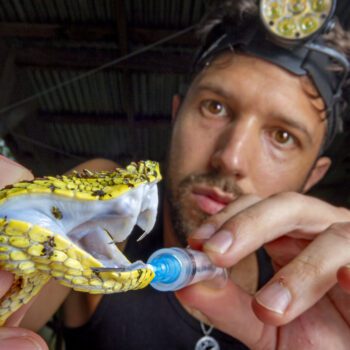 Finding New Species in the Rainforest with Alejandro Arteaga