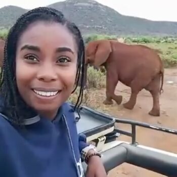 Protecting Elephants with Dominique Gonçalves
