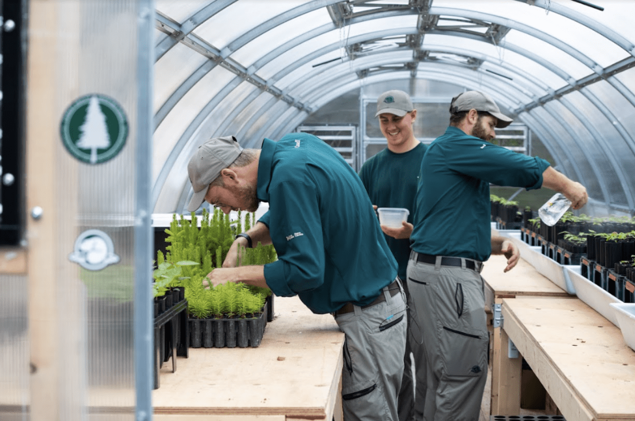 Restauration de la santé des forêts dans le parc national du Gros-Morne