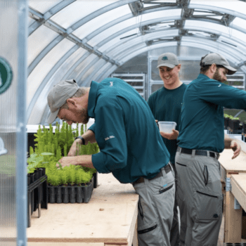 Forest Health Restoration in Gros Morne National Park