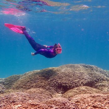 Bringing Back Coral Reefs with Madeleine Sherman