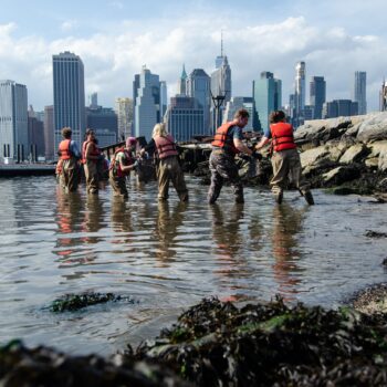 Rewilding New York City with Pete Malinowski
