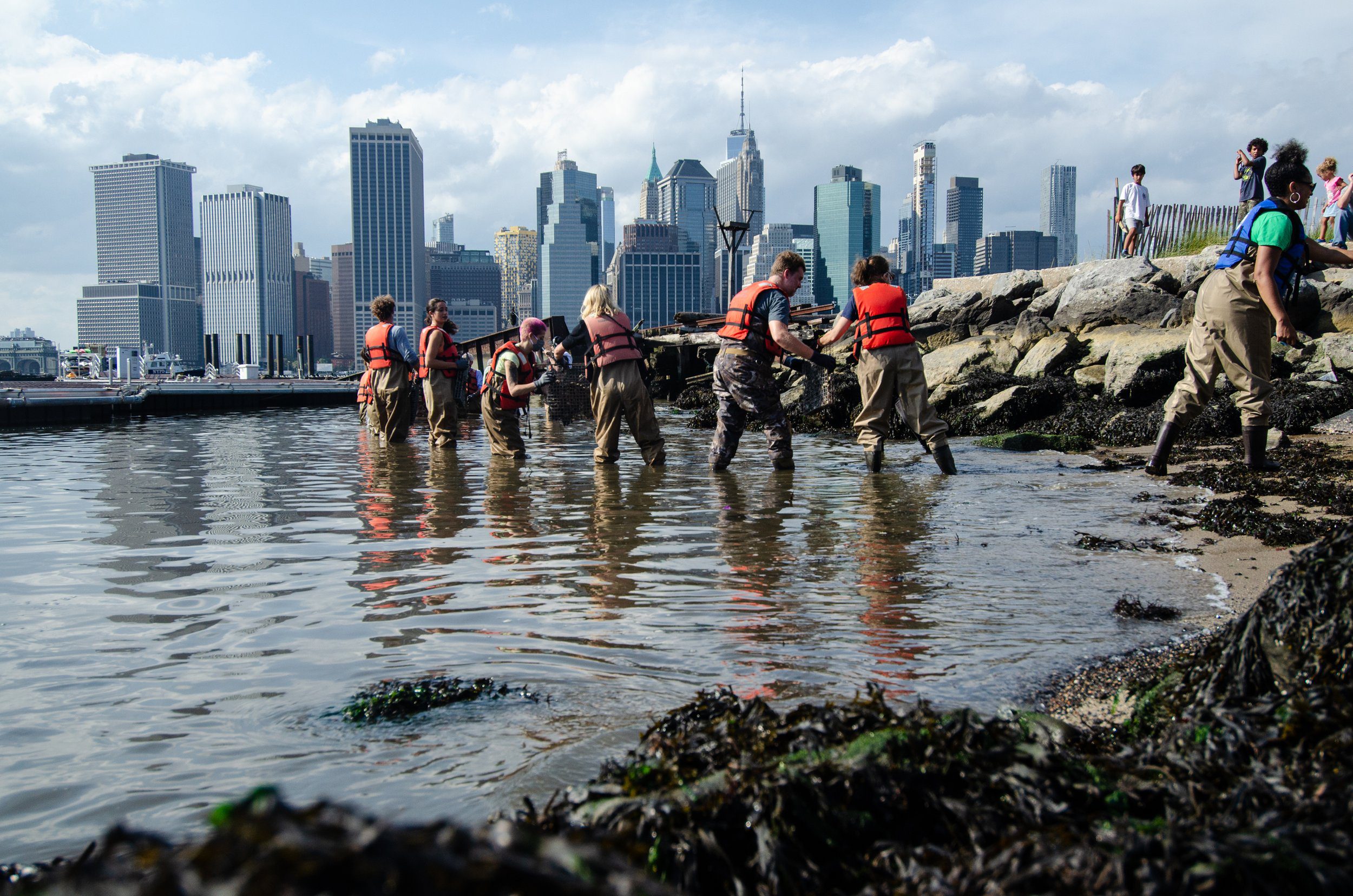 Rewilding New York City with Pete Malinowski