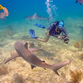 Exploring Our Ocean with Pier Nirandara