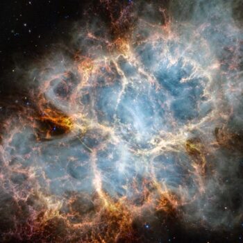 The Life and Death of Stars with Dr. Parshati Patel