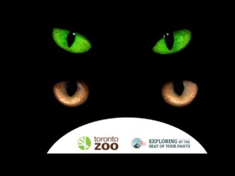 Nocturnal Neighbours at The Toronto Zoo