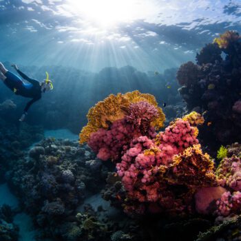 Change Makers: Protecting our Blue Planet One Action at a Time