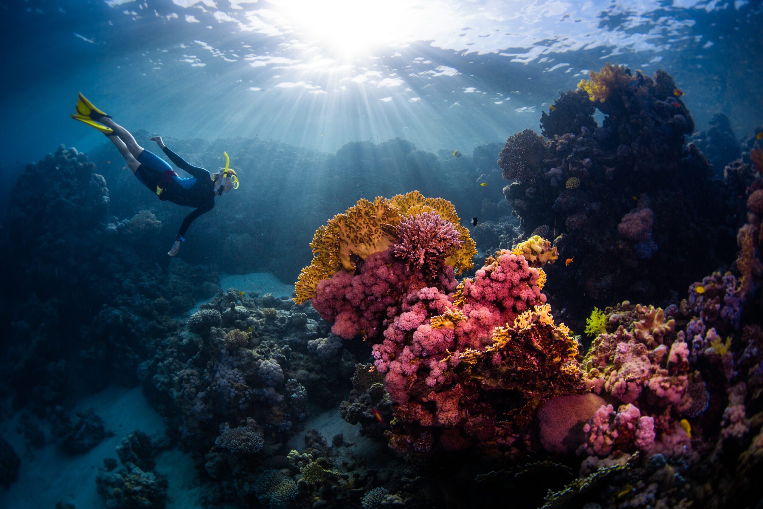 Change Makers: Protecting our Blue Planet One Action at a Time