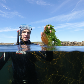 The Seaweed Revolution with Vincent Doumeizel