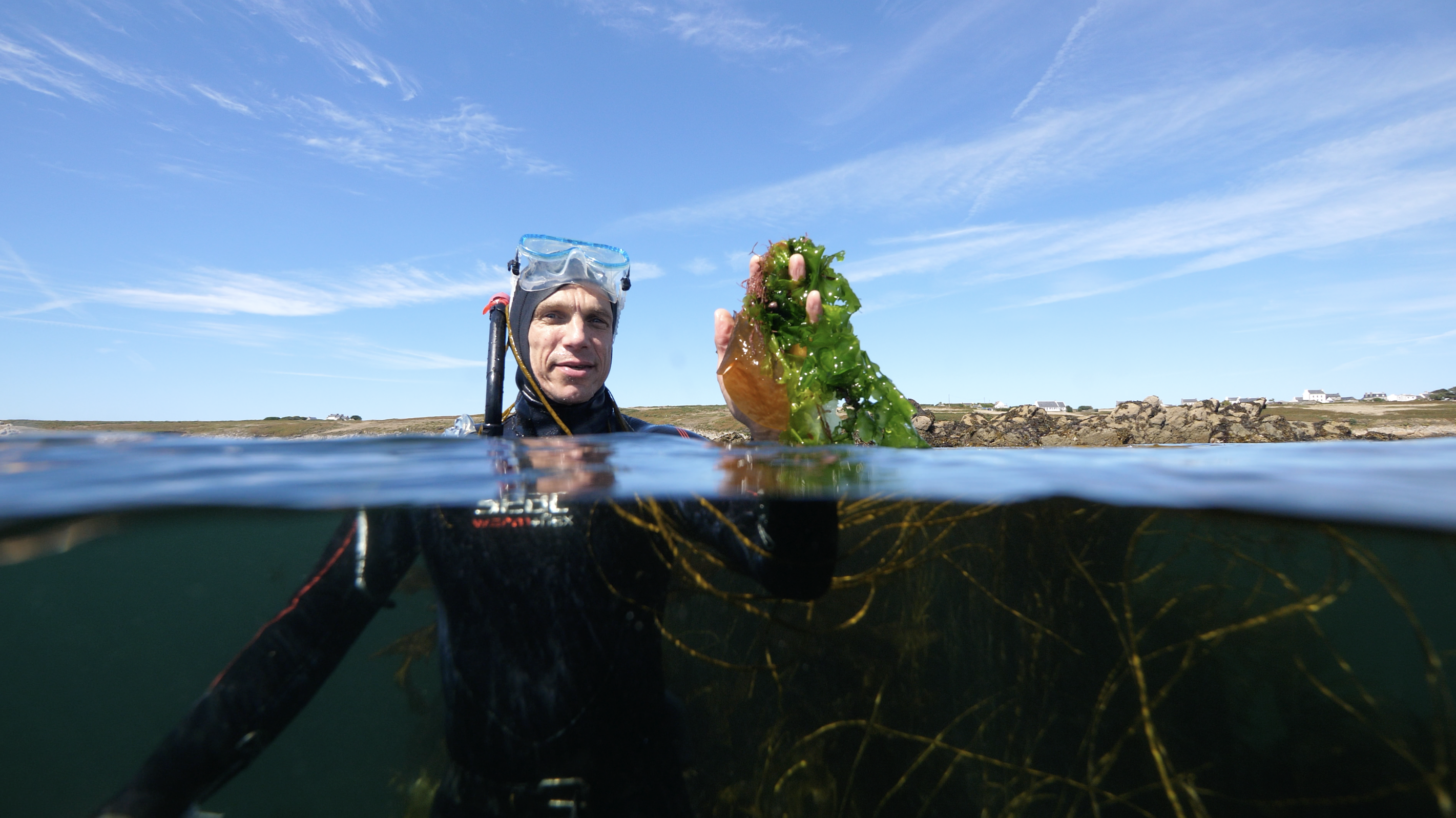 The Seaweed Revolution with Vincent Doumeizel
