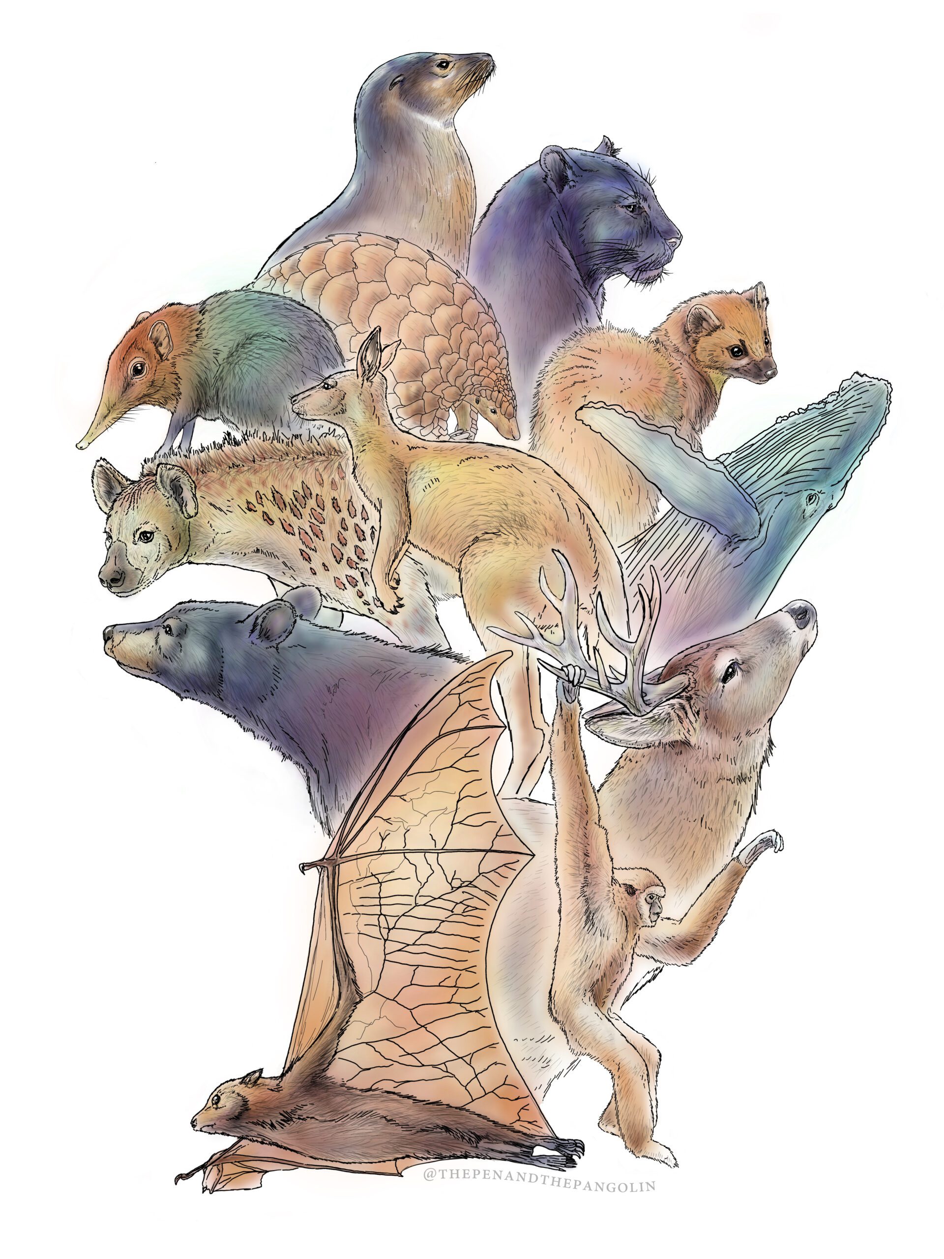 Black Mammalogists Week 2026