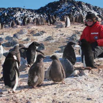 Live From An Adelie Penguin Colony in Antarctica