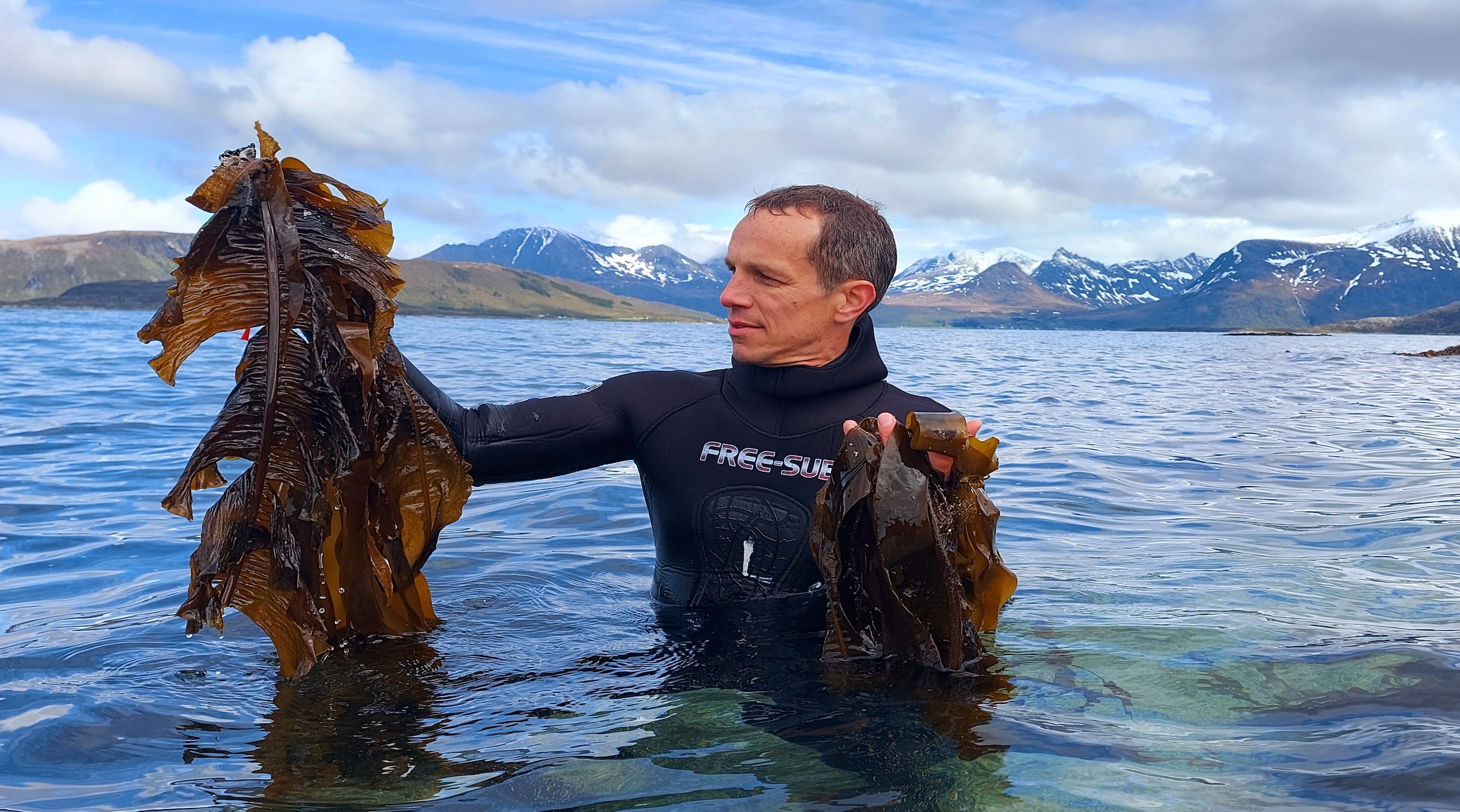 Daily Dive # 119 | It’s Time for a Seaweed Revolution