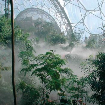 Live from Eden Project, the World’s Largest Indoor Rainforest