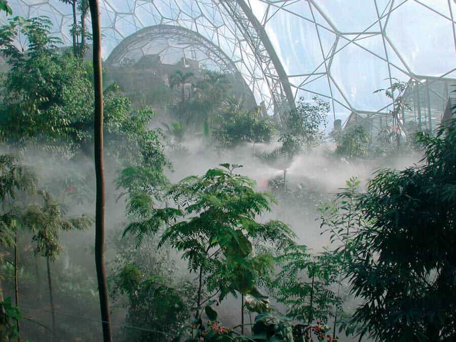 Live from Eden Project, the World’s Largest Indoor Rainforest