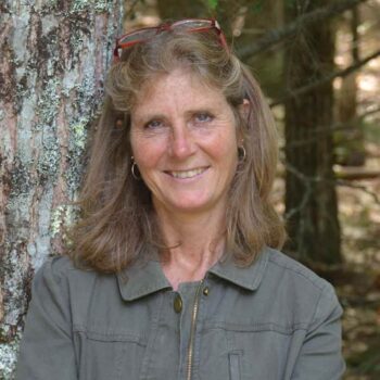 Understanding and Healing Forests with Dr. Lindsey Rustad