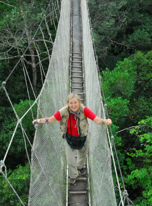 Biodiversity in the Canopy With Meg Lowman