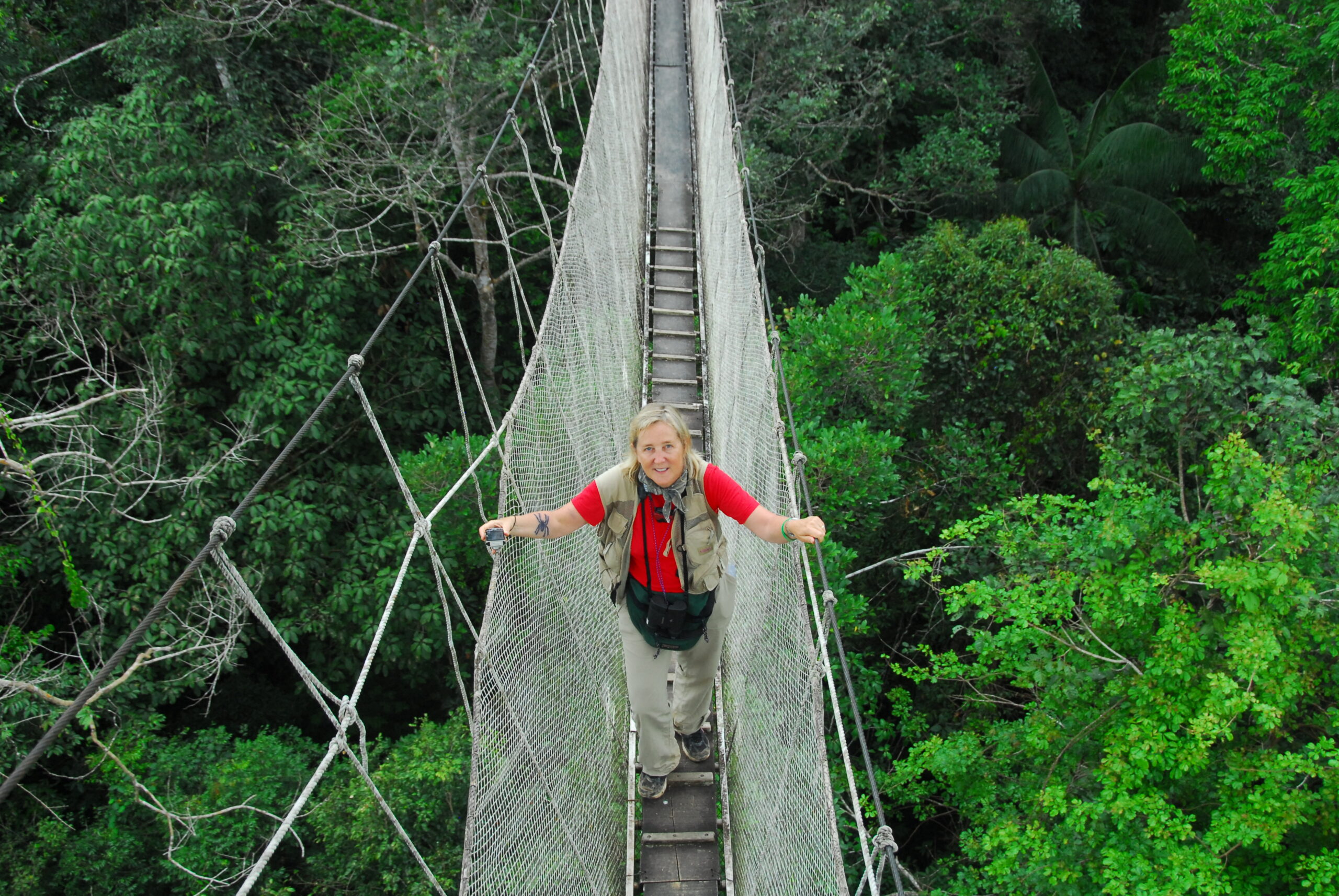 Biodiversity in the Canopy With Meg Lowman