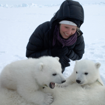 Polar Bears With Alysa McCall