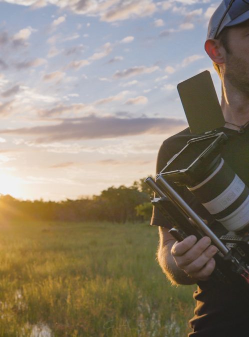 Shining a Spotlight on Pangolin Conservation