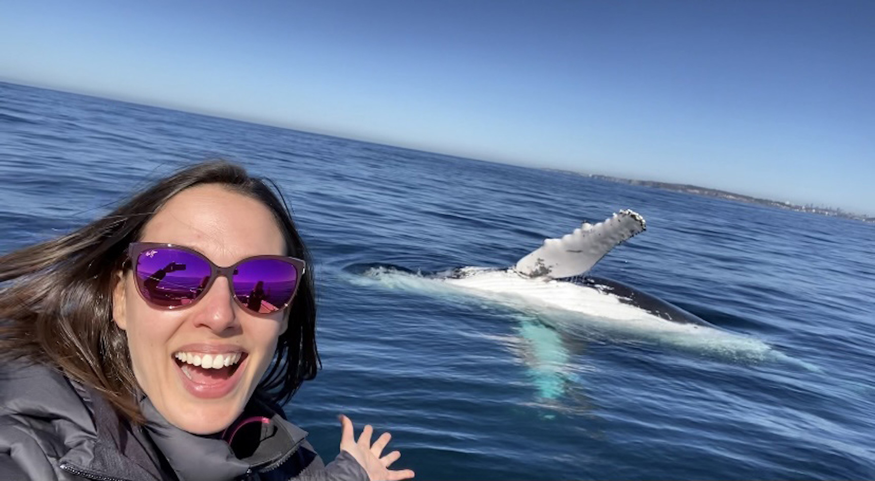 Citizen Science and Surfing Whales With Vanessa Pirotta