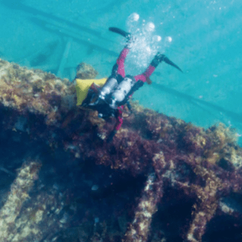 Lost shipwrecks of the Arctic with Parks Canada