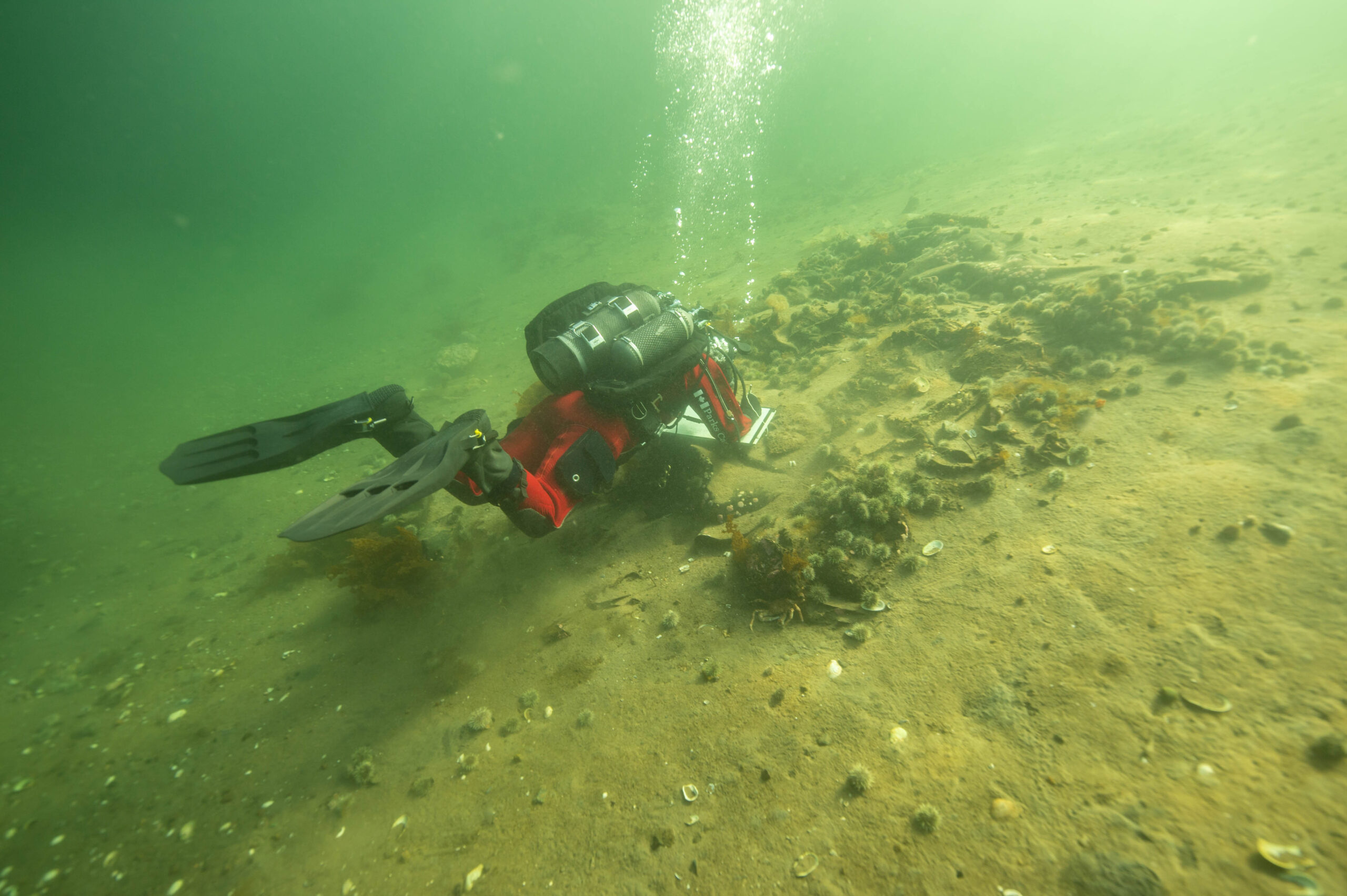 Parks Canada Shipwreck Exploration with Brandy Lockhart