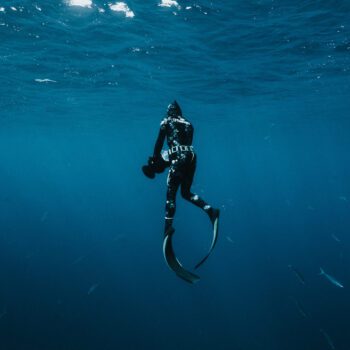 Capturing Our Ocean With Ocean Cinematographer Ricardo A. Nascimento