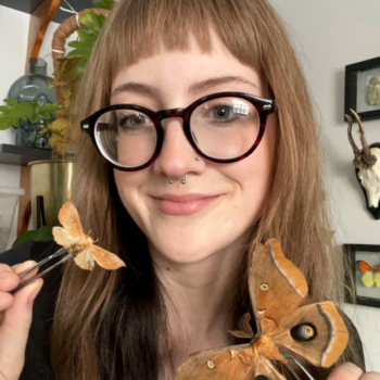 Wonderful Bugs with Jodi Young