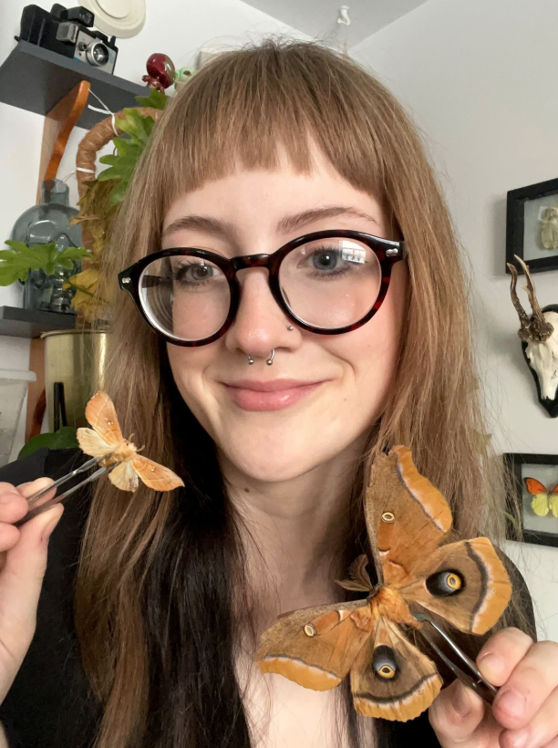 Wonderful Bugs with Jodi Young